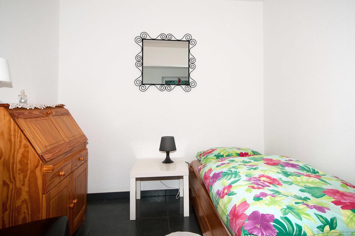 Landhotel Alte Muehle Modautal Εξωτερικό φωτογραφία