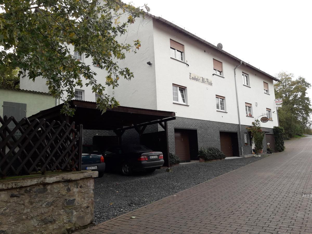 Landhotel Alte Muehle Modautal Εξωτερικό φωτογραφία