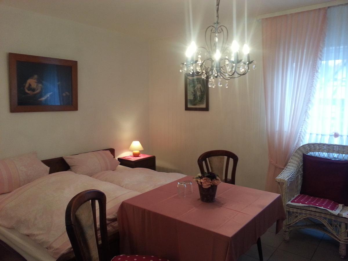 Landhotel Alte Muehle Modautal Εξωτερικό φωτογραφία